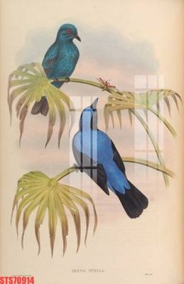 Tải file tranh gốc Tranh sơn dầu phương tây tổng hợp STS70914 chất lượng cao