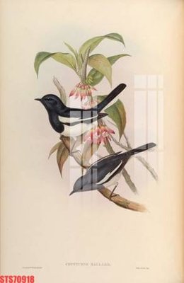 File in lụa Tranh sơn dầu phương tây tổng hợp STS70918 (hoa văn) Tranh sơn dầu phương tây tổng hợp STS70918