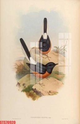 File in mica Tranh sơn dầu phương tây tổng hợp STS70920 (bản gốc) làm vách ngăn