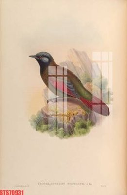 File tranh in trần Tranh sơn dầu phương tây tổng hợp STS70931 (ảnh gốc siêu nét)