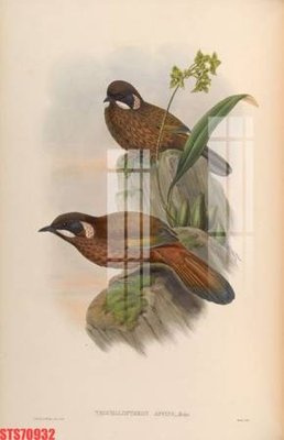 File gốc Tranh sơn dầu phương tây tổng hợp STS70932 (cho in ấn) từ kho Filetranh