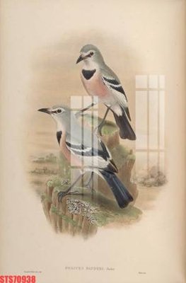 File tranh Tranh sơn dầu phương tây tổng hợp STS70938 (bản gốc) in lụa 3D