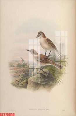 Ảnh mô tả file gốc in mica Tranh sơn dầu phương tây tổng hợp STS70949