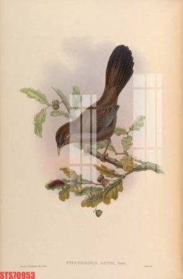 File tranh Tranh sơn dầu phương tây tổng hợp STS70953 (file gốc) chủ đề phong thủy