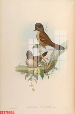 File tranh gốc PSD Tranh sơn dầu phương tây tổng hợp STS70955 còn nguyên layer