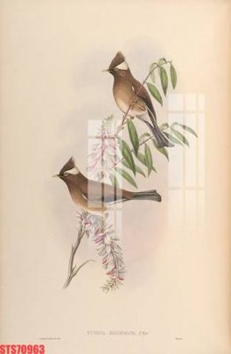 File gốc Tranh sơn dầu phương tây tổng hợp STS70963 (in 3D) nghệ thuật