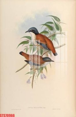 File gốc Tranh sơn dầu phương tây tổng hợp STS70966 (PNG) nền trong suốt