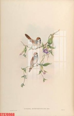 File gốc Tranh sơn dầu phương tây tổng hợp STS70968 (PNG) nền trong suốt