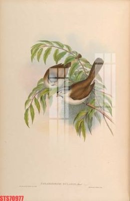 File tranh Tranh sơn dầu phương tây tổng hợp STS70977 (bản gốc) trang trí văn phòng