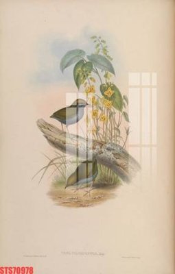 File tranh Tranh sơn dầu phương tây tổng hợp STS70978 (gốc) chủ đề thành phố