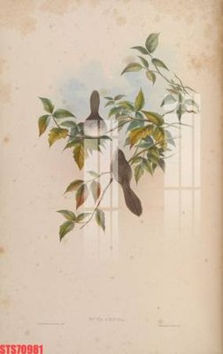 File gốc Tranh sơn dầu phương tây tổng hợp STS70981 cho in ấn và thiết kế