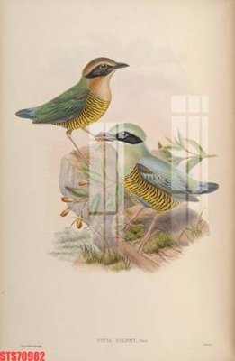 Tải file Tranh sơn dầu phương tây tổng hợp STS70982 (ảnh gốc) in gạch men