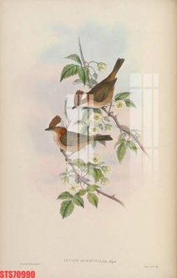 File tranh PSD Tranh sơn dầu phương tây tổng hợp STS70990 chất lượng cao