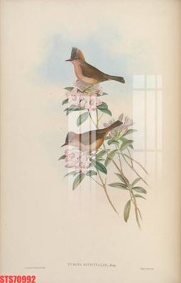 File gốc Tranh sơn dầu phương tây tổng hợp STS70992 (in tráng gương) ốp tường