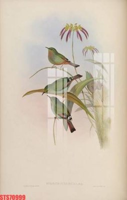 File tranh Tranh sơn dầu phương tây tổng hợp STS70999 (gốc) phong cách tối giản