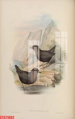 File tranh ảnh gốc Tranh sơn dầu phương tây tổng hợp STS71002 dùng cho in khổ lớn