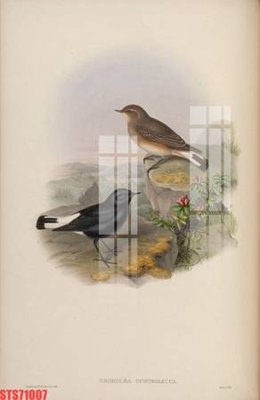 Tải file PSD Tranh sơn dầu phương tây tổng hợp STS71007 (nguyên layer) để in