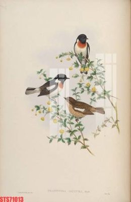 File tranh Tranh sơn dầu phương tây tổng hợp STS71013 (gốc) chủ đề trẻ em