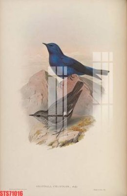 File tranh Tranh sơn dầu phương tây tổng hợp STS71016 (gốc) chủ đề trẻ em