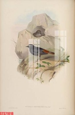 File in mica Tranh sơn dầu phương tây tổng hợp STS71018 (bản gốc) làm vách ngăn