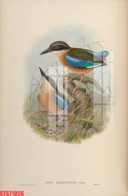 Tải file gốc Tranh sơn dầu phương tây tổng hợp STS71026 (in tráng gương) 3DFile gốc Tranh sơn dầu phương tây tổng hợp STS71026 (sẵn sàng in) chất lượng cao