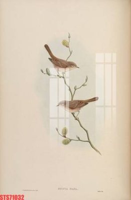 Tải về file tranh gốc Tranh sơn dầu phương tây tổng hợp STS71032 (để in quảng cáo)