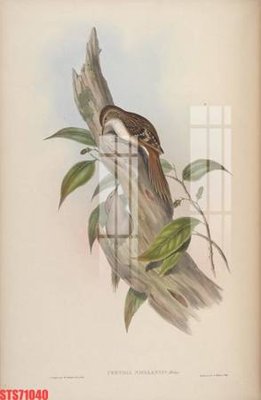 File PSD Tranh sơn dầu phương tây tổng hợp STS71040 (bản gốc) đã tách nền