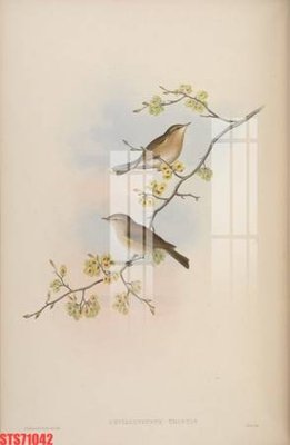 Hình ảnh file gốc in trần nhà Tranh sơn dầu phương tây tổng hợp STS71042