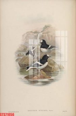 File gốc Tranh sơn dầu phương tây tổng hợp STS71056 (in lụa) tranh mã đáo