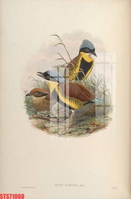 File ảnh Tranh sơn dầu phương tây tổng hợp STS71060 (gốc) in decal dán tường