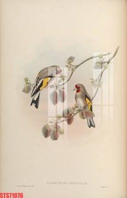 File gốc in ấn Tranh sơn dầu phương tây tổng hợp STS71076 độ phân giải cao