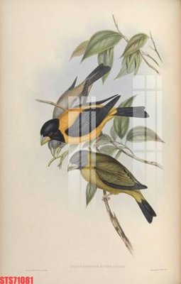 Tải file gốc Tranh sơn dầu phương tây tổng hợp STS71081 (in tráng gương) 5DFile gốc Tranh sơn dầu phương tây tổng hợp STS71081 (in ấn) phiên bản premium