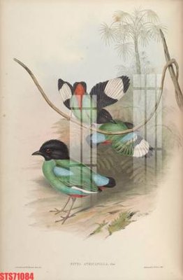 File in trần Tranh sơn dầu phương tây tổng hợp STS71084 (bản gốc) bầu trời