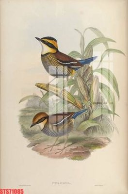 File gốc Tranh sơn dầu phương tây tổng hợp STS71085 (AI/EPS) cho in ấn