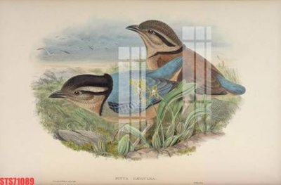 File PSD Tranh sơn dầu phương tây tổng hợp STS71089 (nguyên bản) cho thiết kế