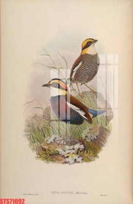 Download file gốc Tranh sơn dầu phương tây tổng hợp STS71092 (in lụa) nghệ thuật