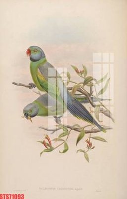 File tranh Tranh sơn dầu phương tây tổng hợp STS71093 (ảnh gốc) in trần nhà