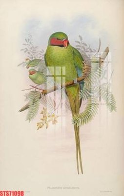 File PSD Tranh sơn dầu phương tây tổng hợp STS71098 (chất lượng in ấn)