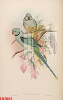 Tải file Tranh sơn dầu phương tây tổng hợp STS71099 (gốc) in ấn chất lượng