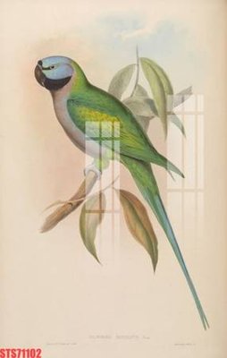 File tranh Tranh sơn dầu phương tây tổng hợp STS71102 (file gốc) chủ đề phong thủy