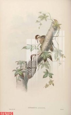 File tranh Tranh sơn dầu phương tây tổng hợp STS71124 (file gốc) chuẩn màu in