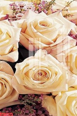 File gốc Tranh sơn dầu phương tây tổng hợp STS7125 (cho in 3D) độc đáo