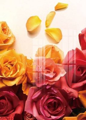 File gốc Tranh sơn dầu phương tây tổng hợp STS7133 (cho in ấn) từ Filetranh.com