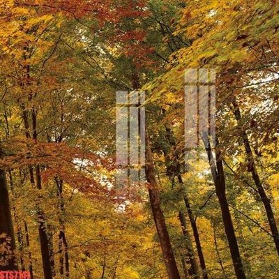 Tải file gốc Tranh sơn dầu phương tây tổng hợp STS7141 (in bạt) quảng cáo