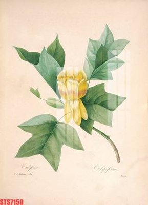 Cung cấp file tranh gốc Tranh sơn dầu phương tây tổng hợp STS7150 độc quyền