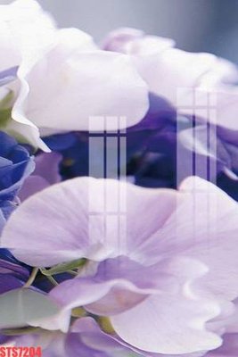 File in lụa Tranh sơn dầu phương tây tổng hợp STS7204 (phong cảnh) Tranh sơn dầu phương tây tổng hợp STS7204