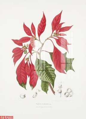 File gốc Tranh sơn dầu phương tây tổng hợp STS72111 (in tráng gương) nghệ thuật