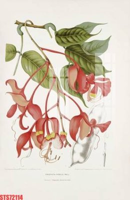 File gốc Tranh sơn dầu phương tây tổng hợp STS72114 (PNG) nền trong suốt