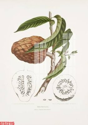 File tranh Tranh sơn dầu phương tây tổng hợp STS72115 (ảnh gốc) chi tiết rõ ràng