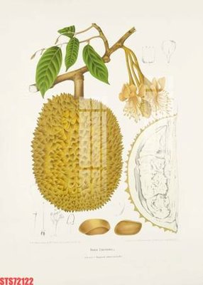 File in mica Tranh sơn dầu phương tây tổng hợp STS72122 (bản gốc) làm vách ngăn